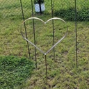 Grand coeur 