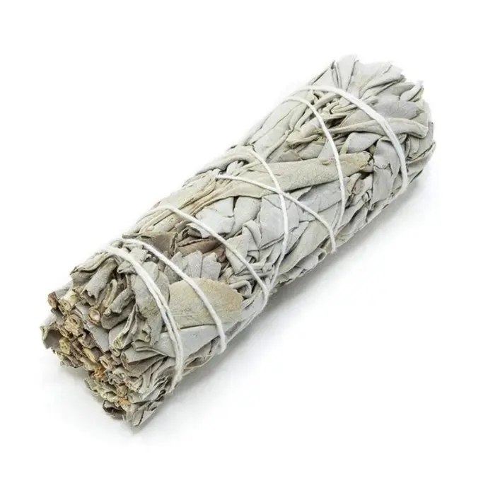 Sauge blanche