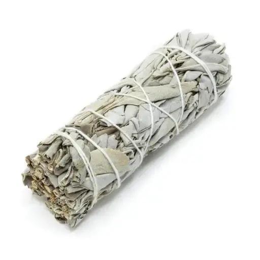 Sauge blanche